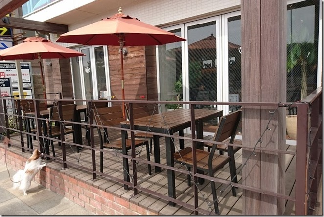 ドッグデプト湘南江の島店は食事も買物もドッグランも全部楽しめる パピヨンパパの愛犬と幸せに暮らすコツ